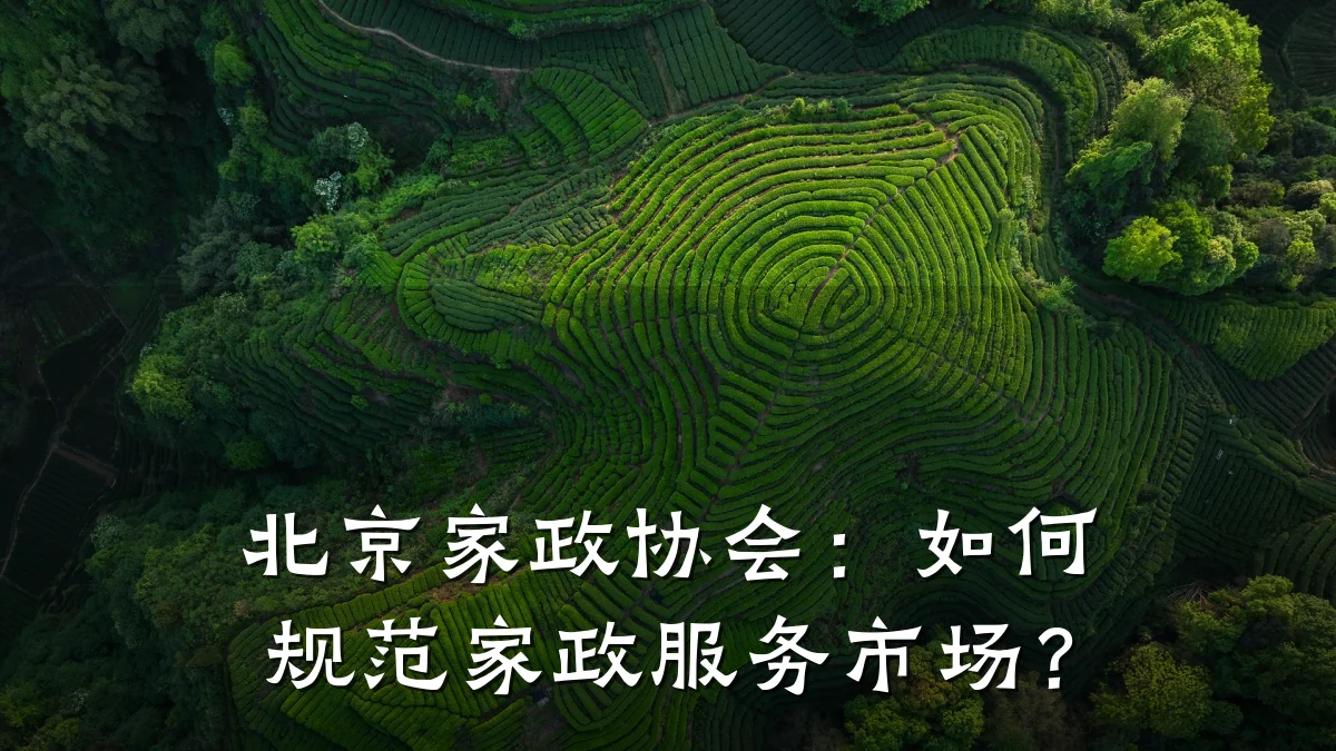 北京家政协会:如何规范家政服务市场?