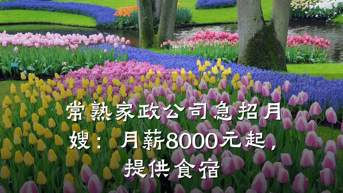 常熟家政公司急招月嫂:月薪8000元起,提供食宿