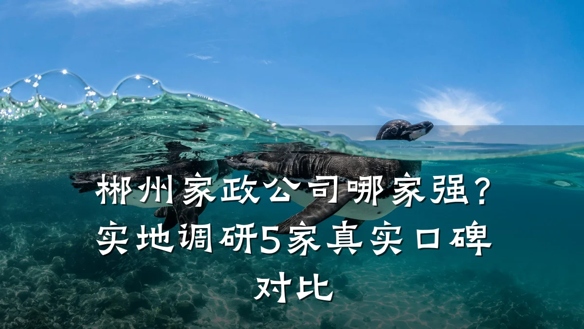 郴州家政公司哪家强?实地调研5家真实口碑对比