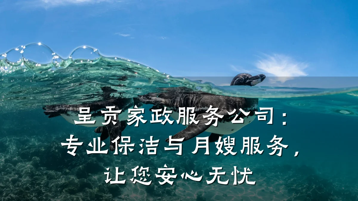 呈贡家政服务公司:专业保洁与月嫂服务,让您安心无忧