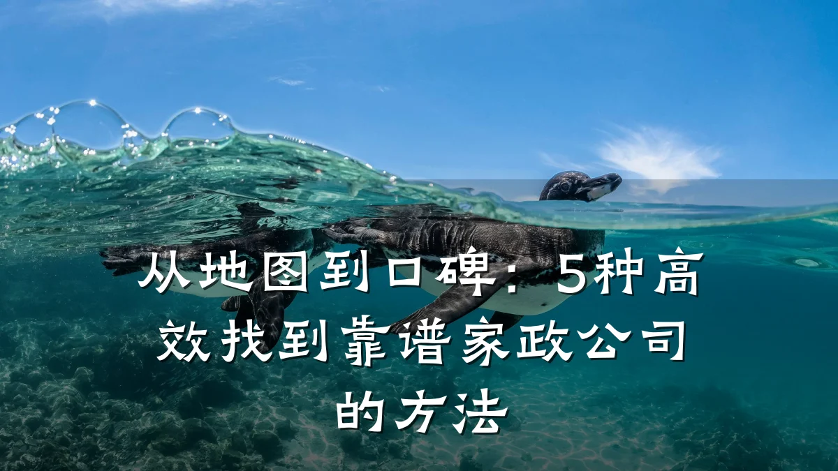 从地图到口碑:5种高效找到靠谱家政公司的方法