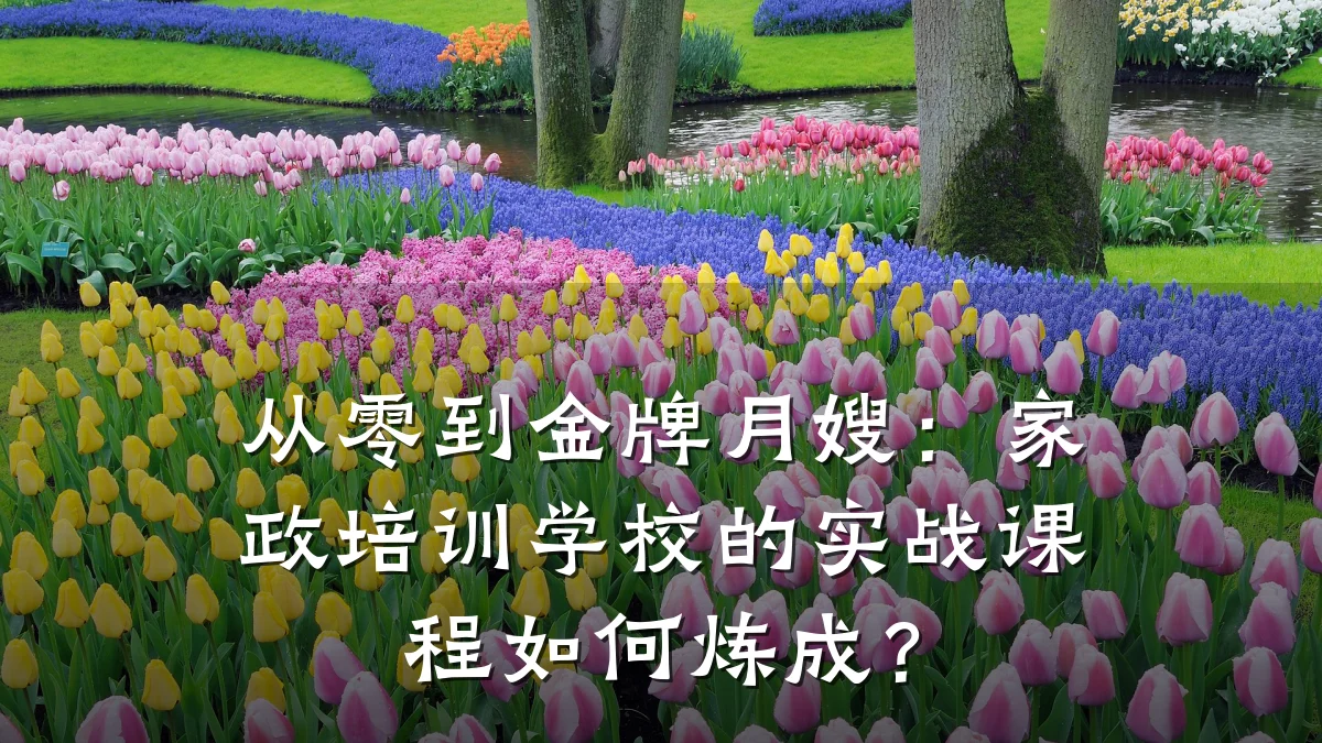 从零到金牌月嫂：家政培训学校的实战课程如何炼成？