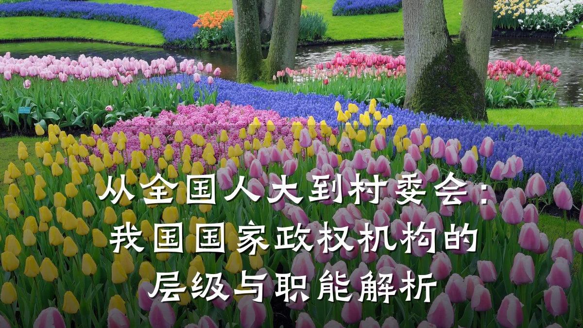 从全国人大到村委会:我国国家政权机构的层级与职能解析