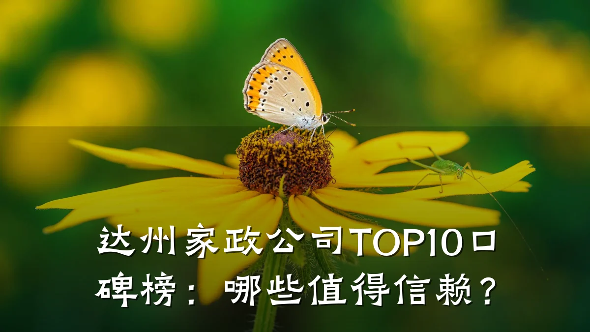 达州家政公司TOP10口碑榜:哪些值得信赖?