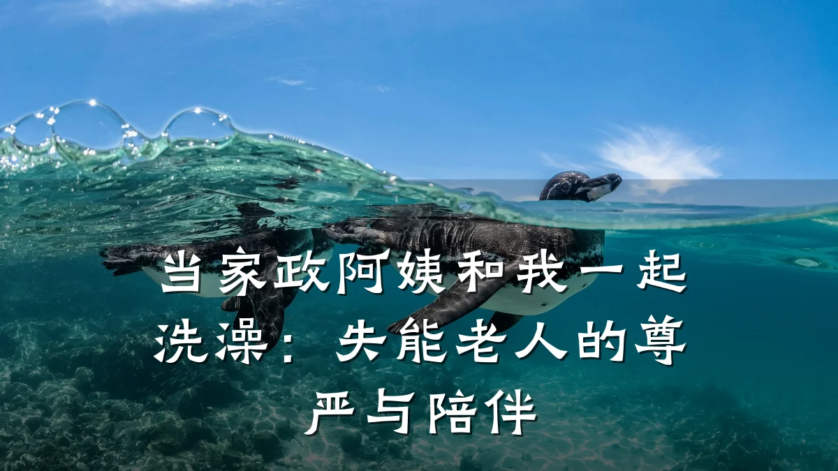 当家政阿姨和我一起洗澡:失能老人的尊严与陪伴