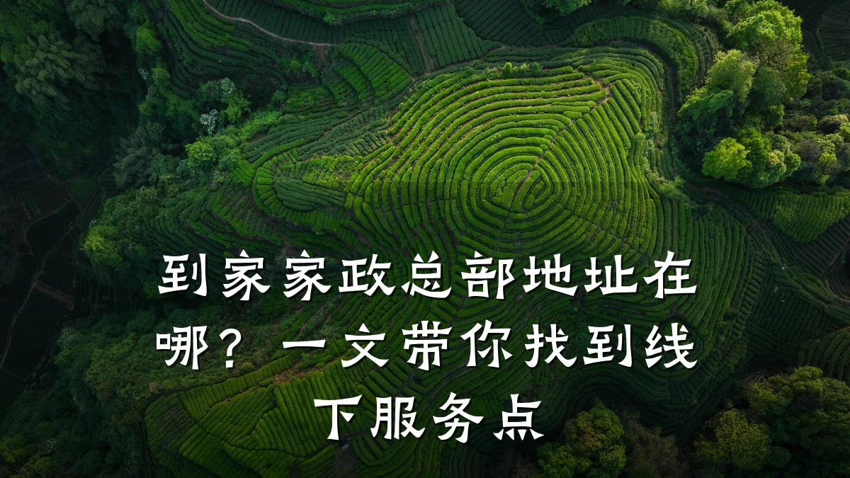 到家家政总部地址在哪?一文带你找到线下服务点