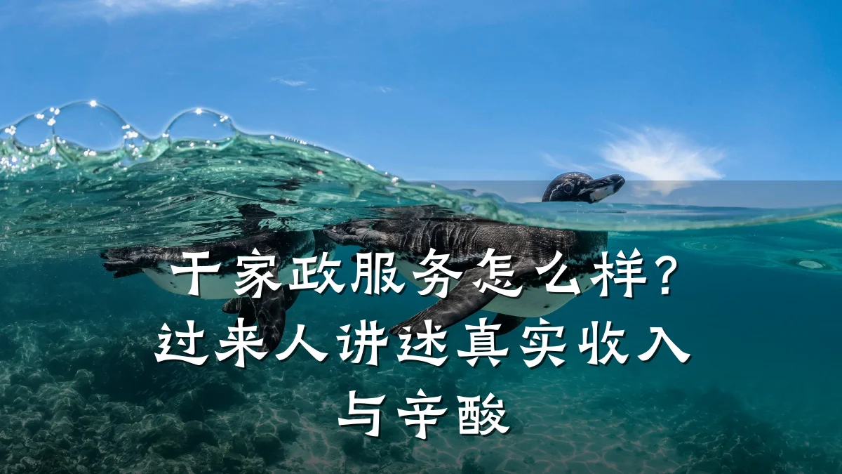 干家政服务怎么样?过来人讲述真实收入与辛酸