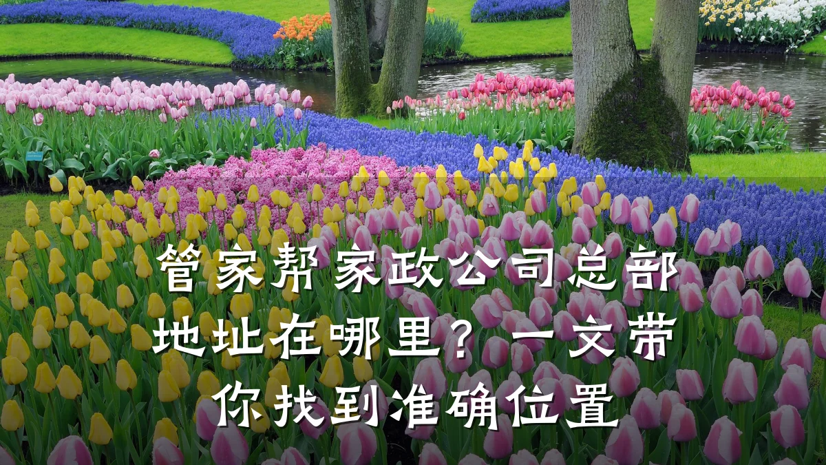 管家帮家政公司总部地址在哪里?一文带你找到准确位置