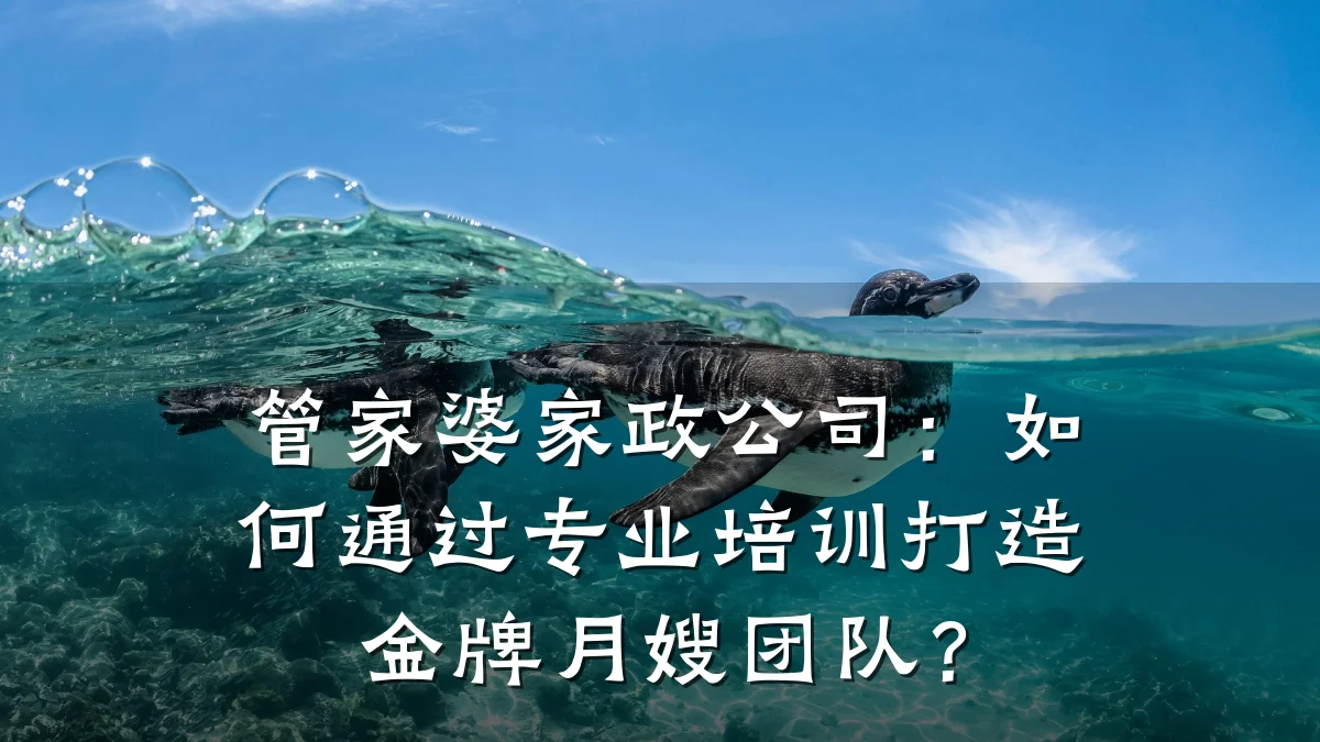 管家婆家政公司:如何通过专业培训打造金牌月嫂团队?