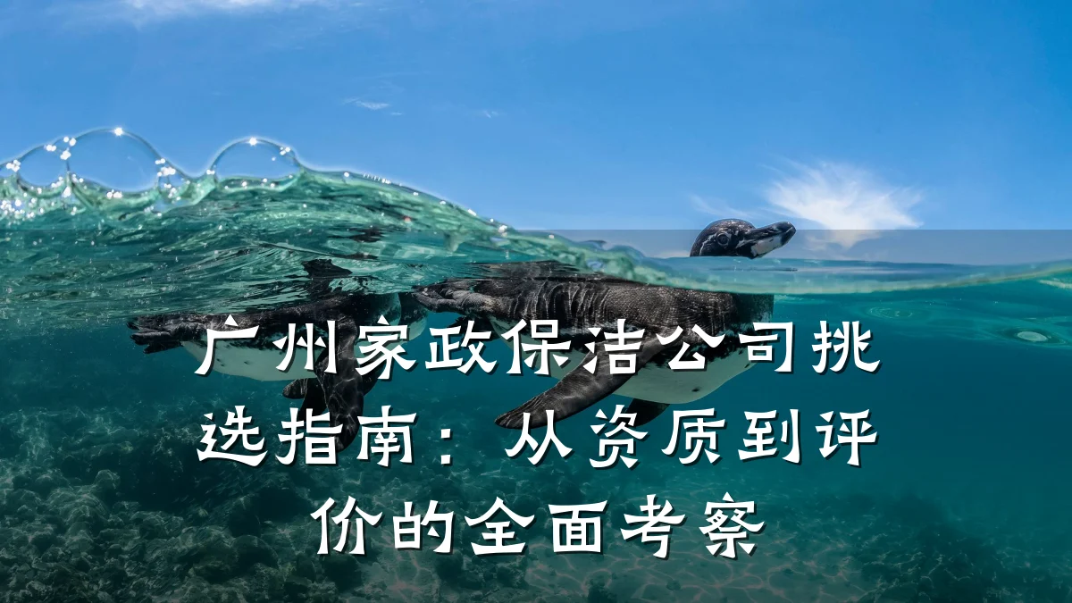 广州家政保洁公司挑选指南:从资质到评价的全面考察