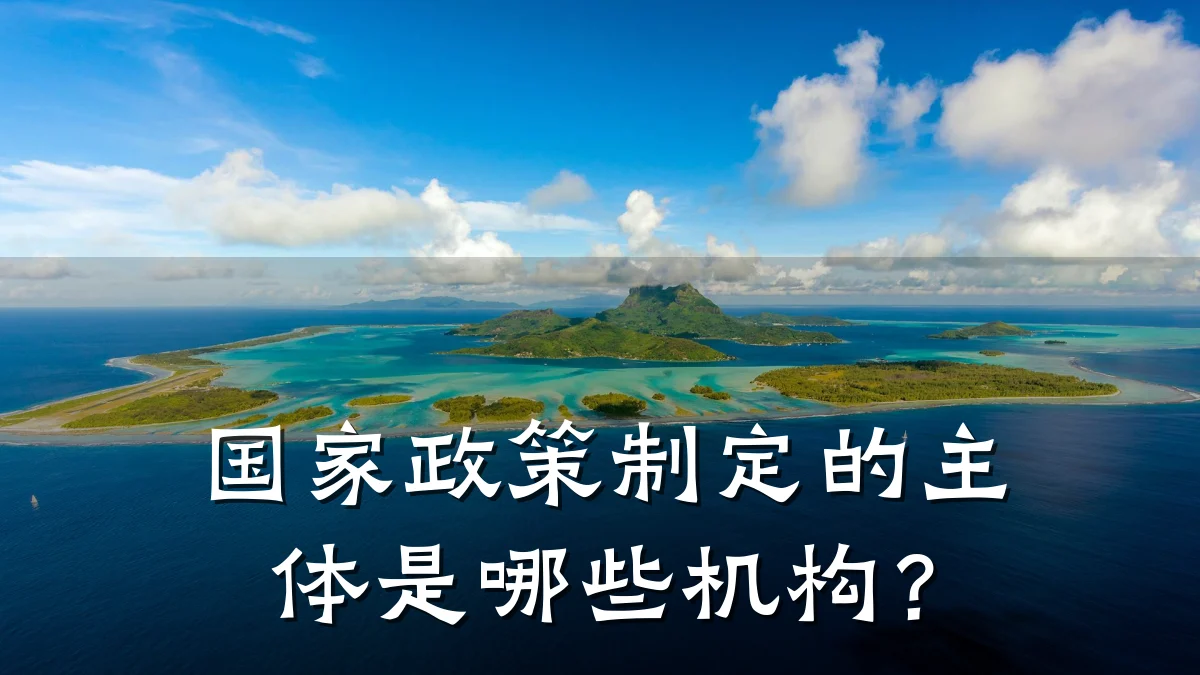 国家政策制定的主体是哪些机构？