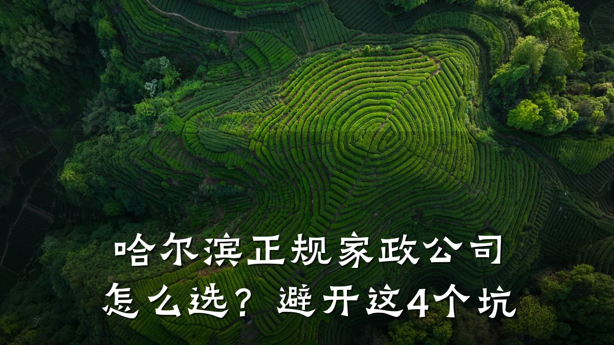 哈尔滨正规家政公司怎么选?避开这4个坑
