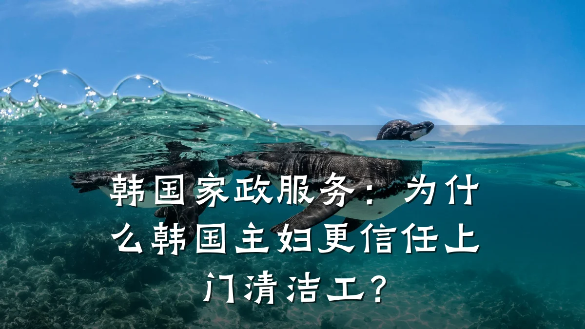 韩国家政服务:为什么韩国主妇更信任上门清洁工?