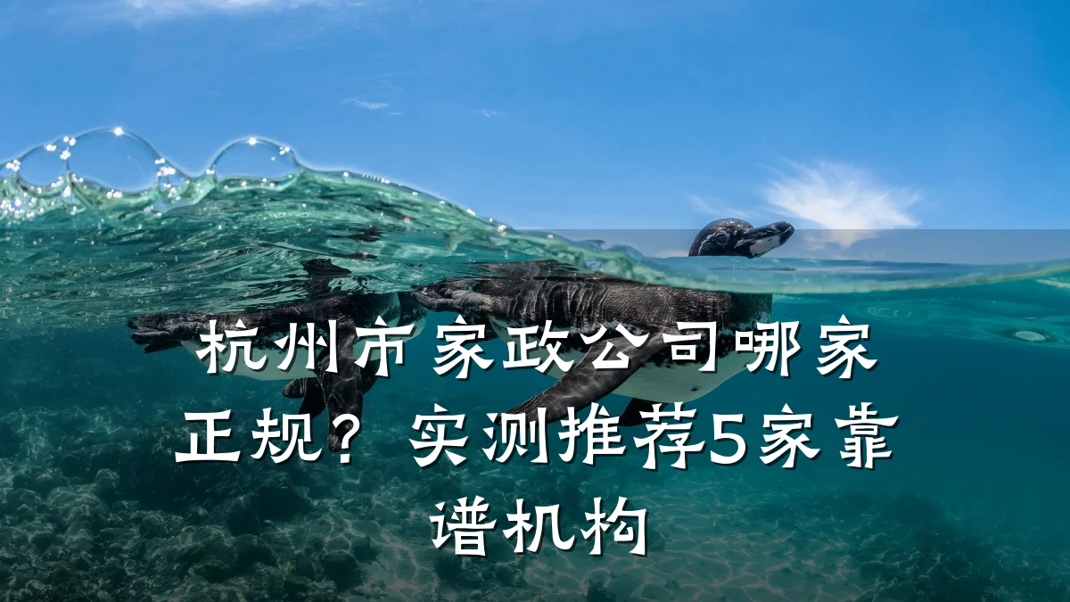 杭州市家政公司哪家正规?实测推荐5家靠谱机构