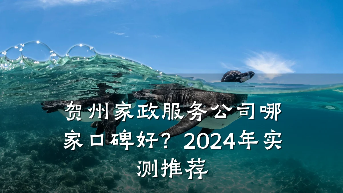 贺州家政服务公司哪家口碑好?2024年实测推荐