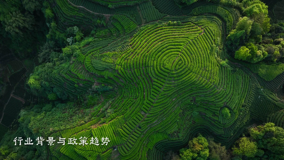行业背景与政策趋势