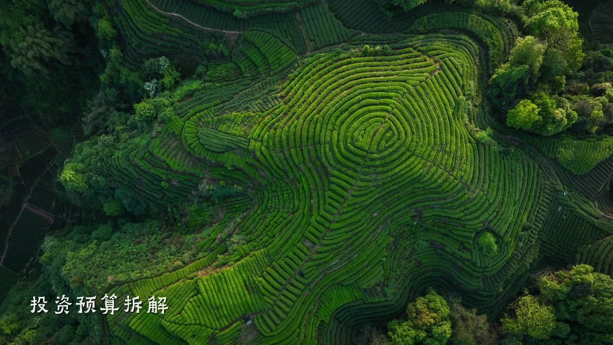 投资预算拆解