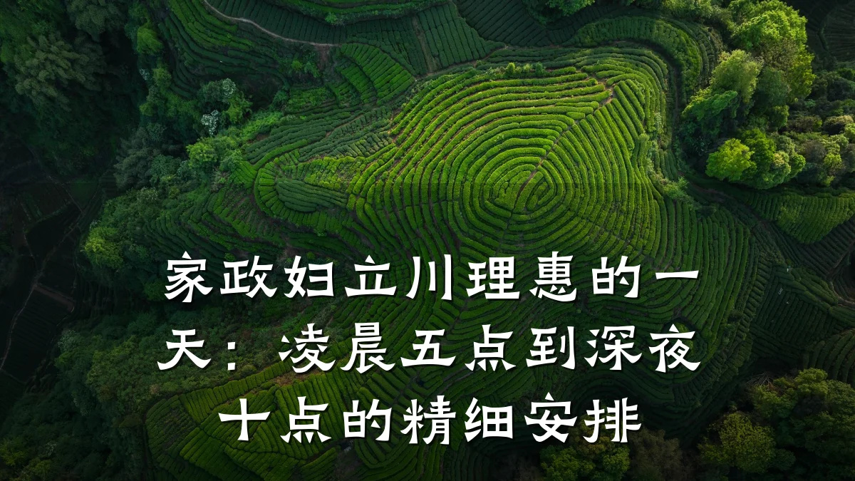 家政妇立川理惠的一天:凌晨五点到深夜十点的精细安排