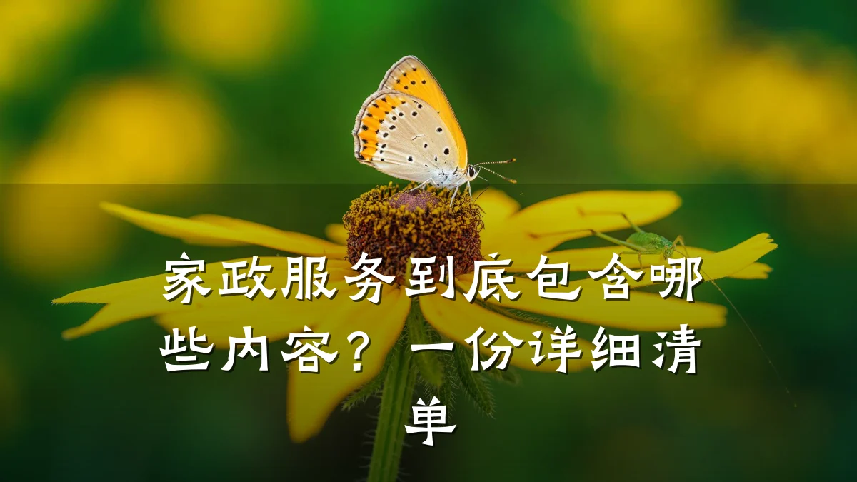家政服务到底包含哪些内容?一份详细清单