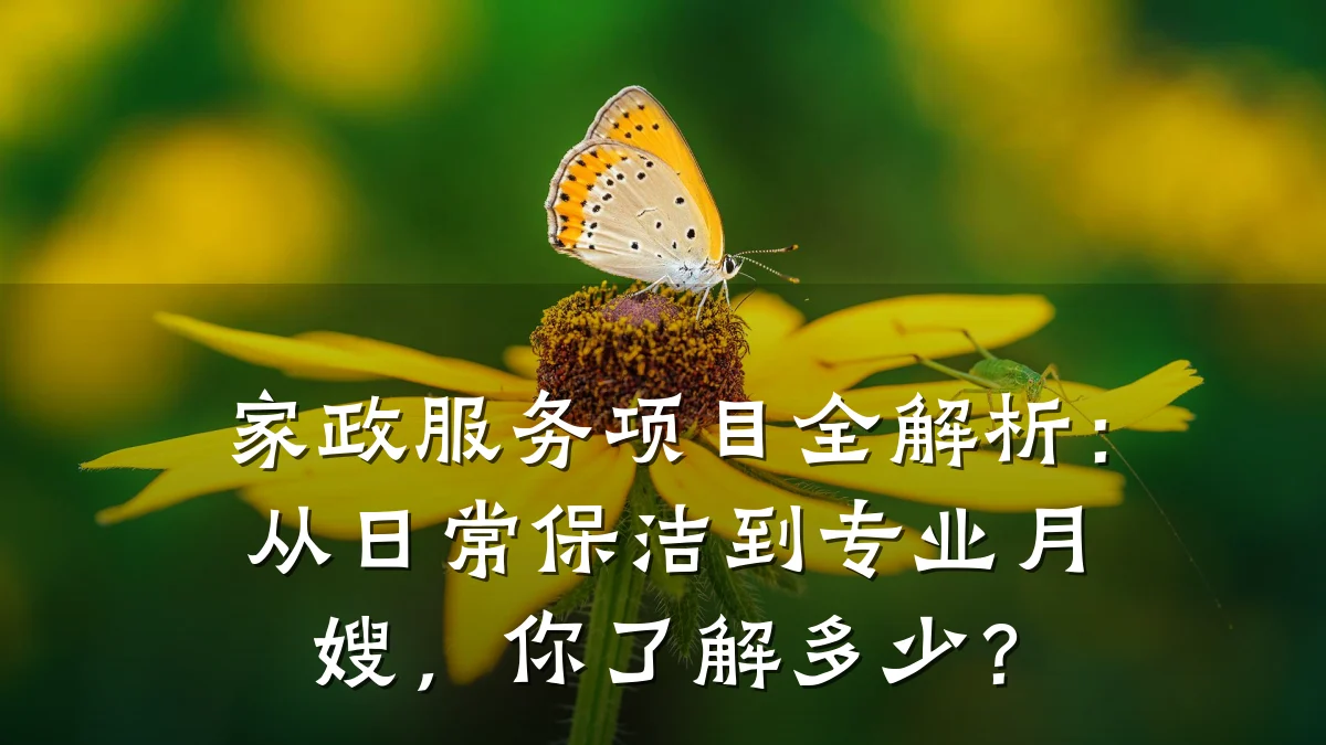 家政服务项目全解析:从日常保洁到专业月嫂,你了解多少?
