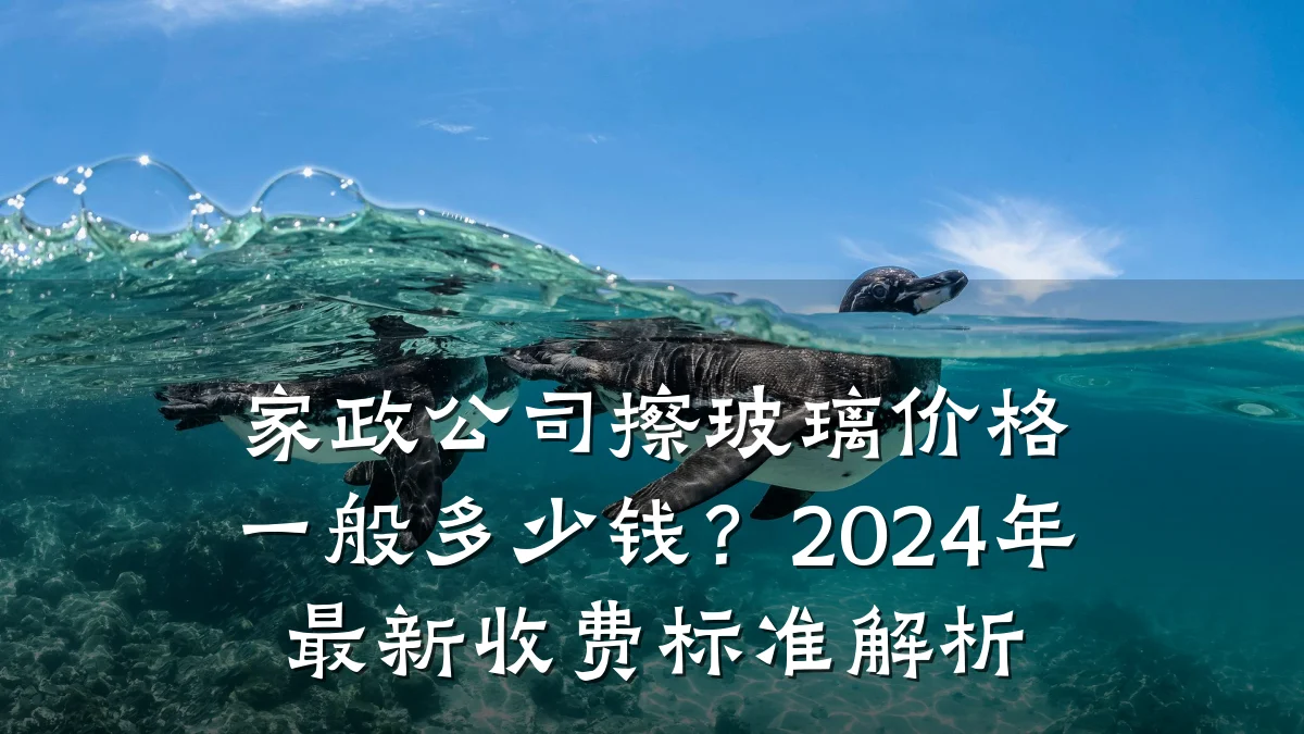 家政公司擦玻璃价格一般多少钱?2024年最新收费标准解析