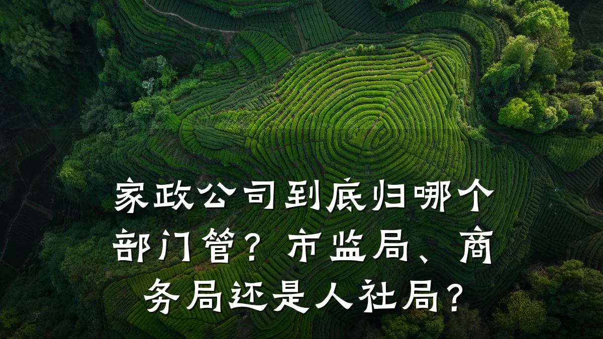 家政公司到底归哪个部门管?市监局、商务局还是人社局?