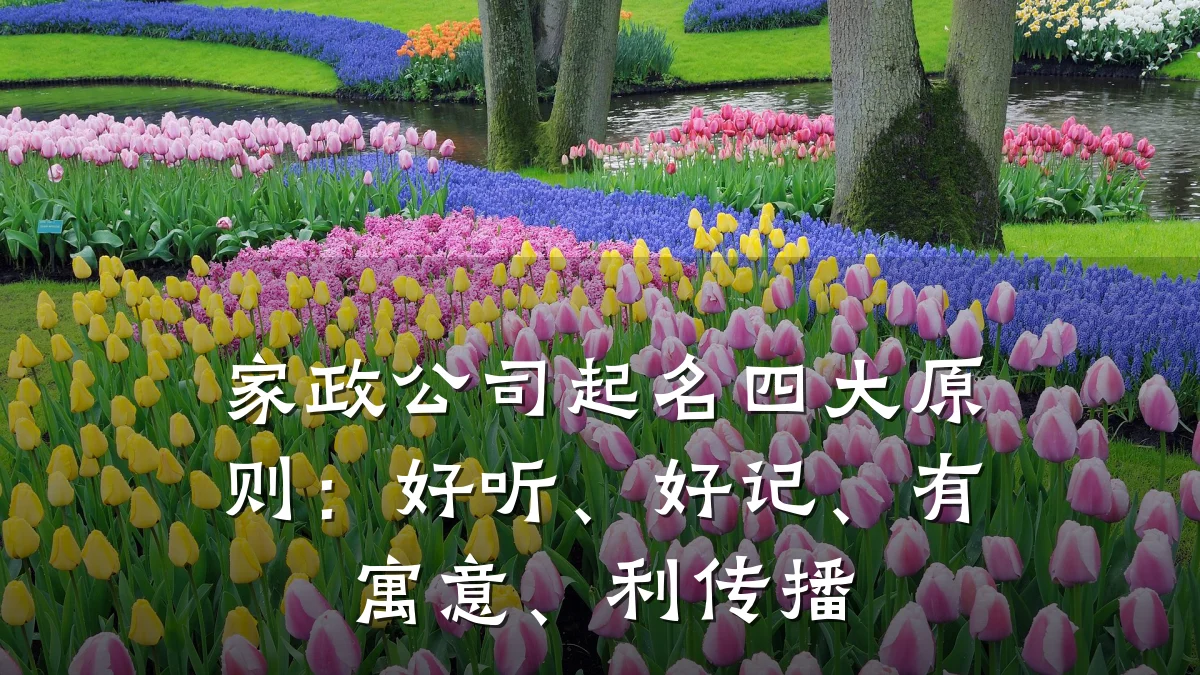 家政公司起名四大原则:好听、好记、有寓意、利传播