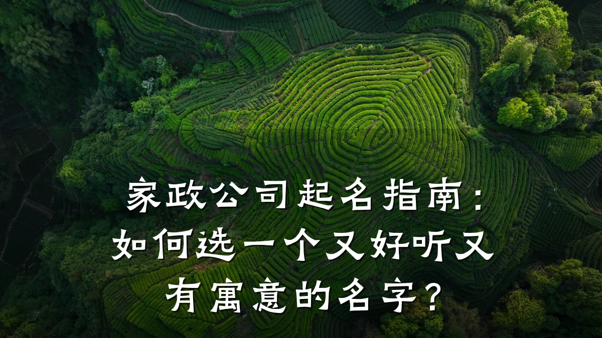 家政公司起名指南:如何选一个又好听又有寓意的名字?