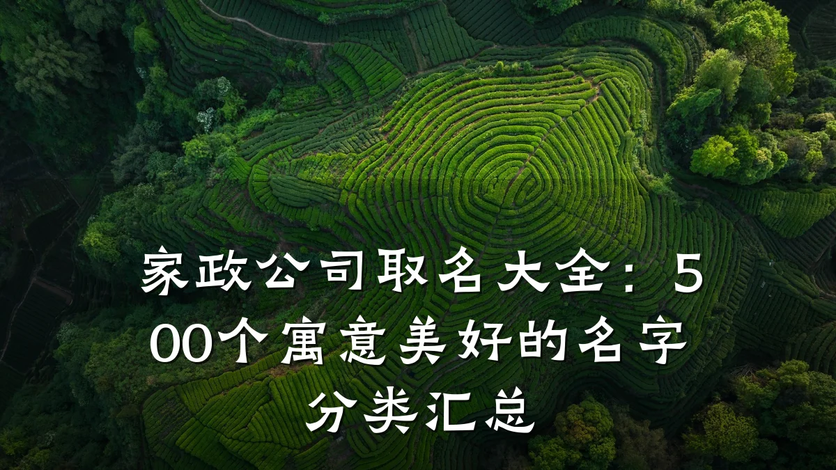 家政公司取名大全:500个寓意美好的名字分类汇总