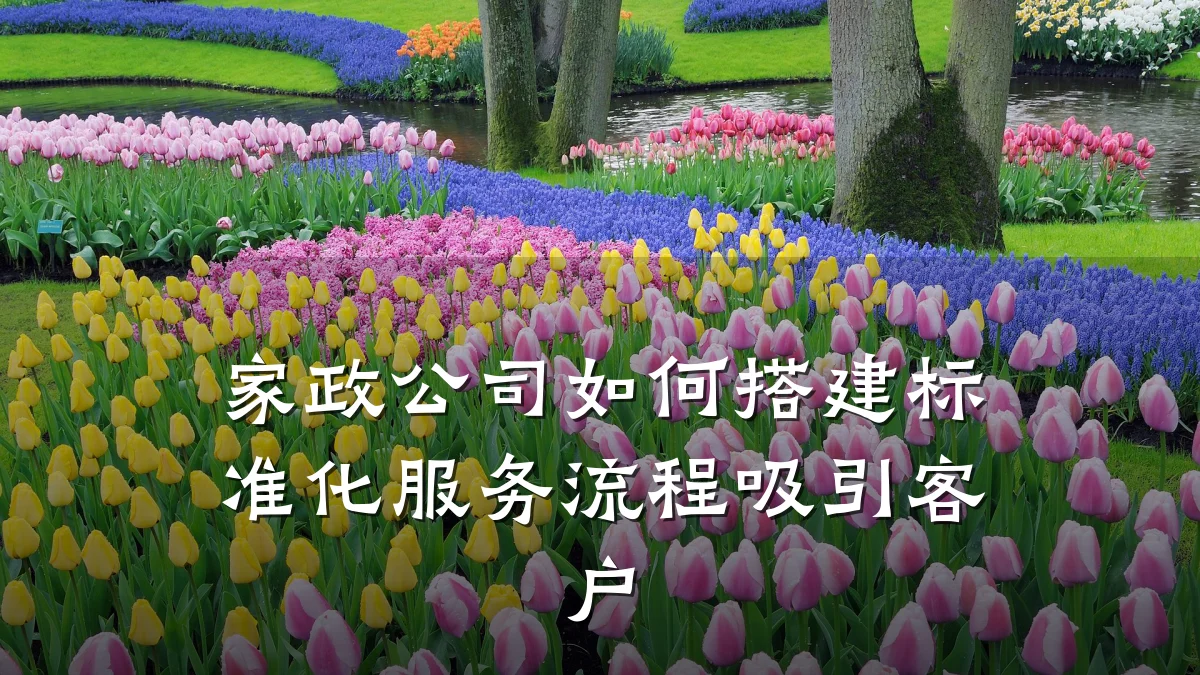 家政公司如何搭建标准化服务流程吸引客户