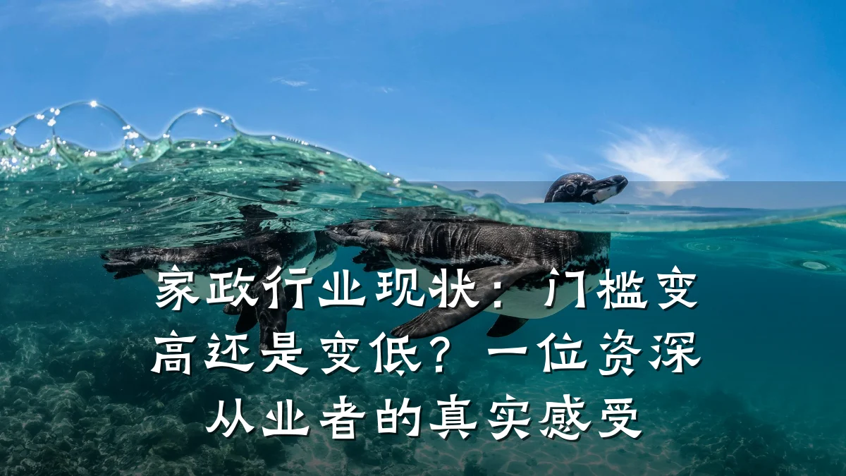 家政行业现状:门槛变高还是变低?一位资深从业者的真实感受