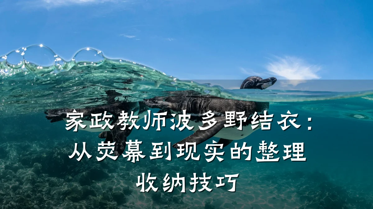 家政教师波多野结衣:从荧幕到现实的整理收纳技巧