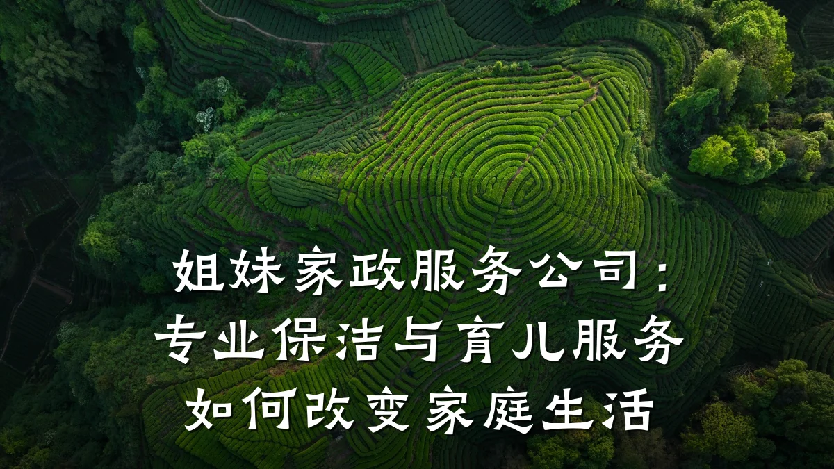 姐妹家政服务公司:专业保洁与育儿服务如何改变家庭生活