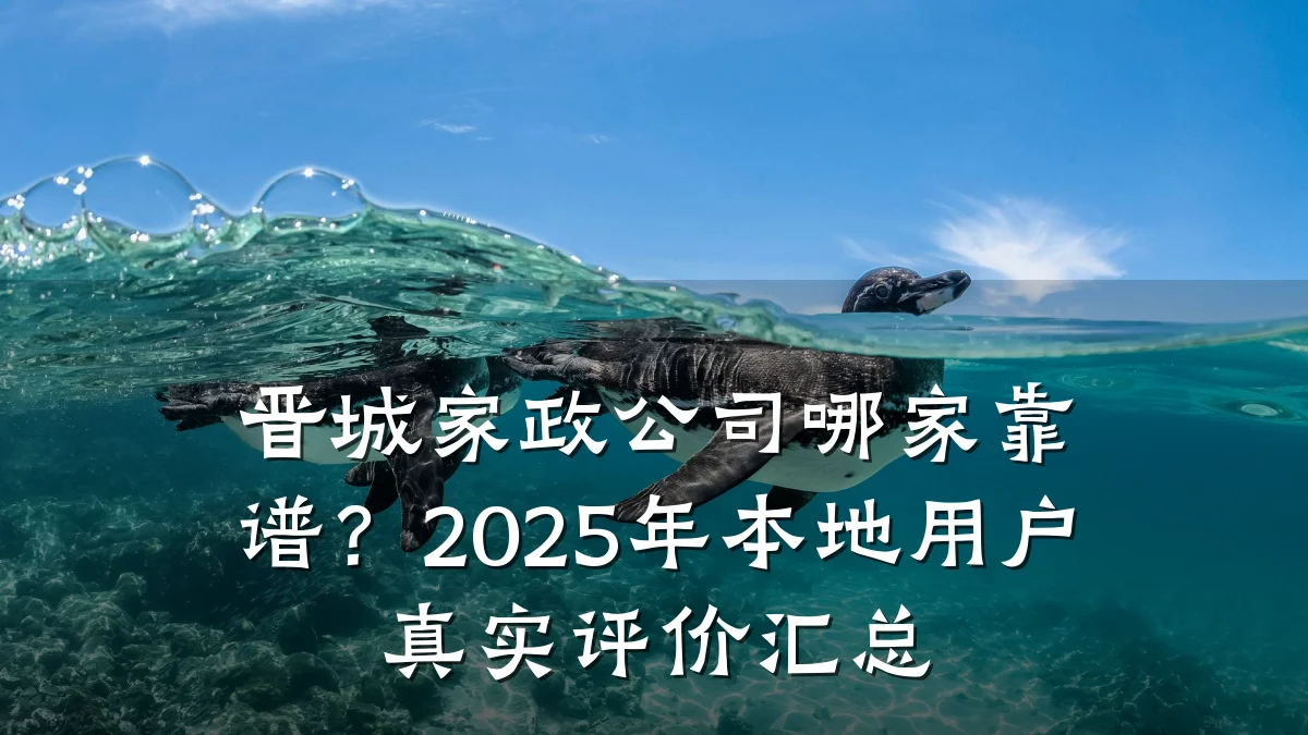 晋城家政公司哪家靠谱？2025年本地用户真实评价汇总