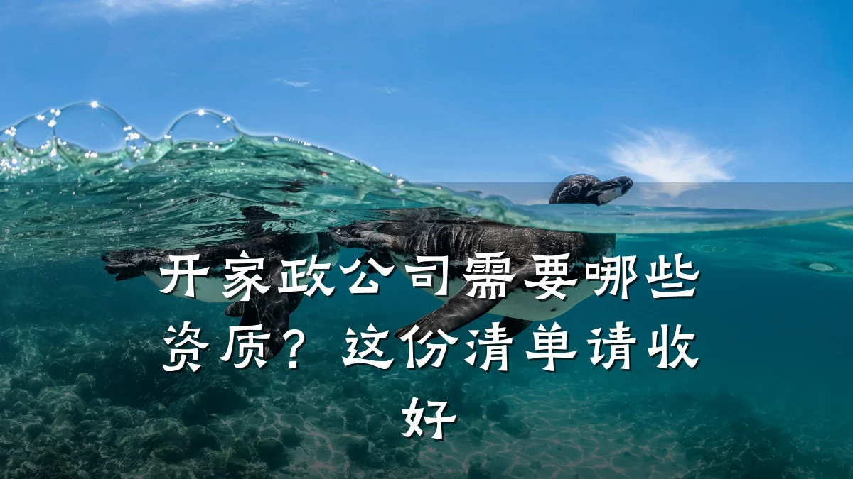开家政公司需要哪些资质？这份清单请收好