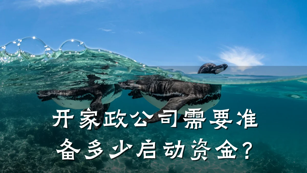 开家政公司需要准备多少启动资金?