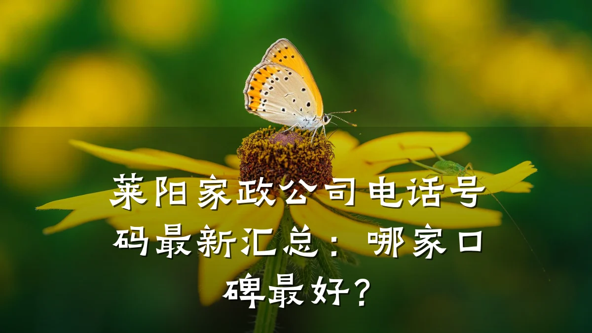 莱阳家政公司电话号码最新汇总：哪家口碑最好？