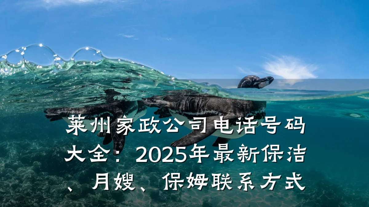 莱州家政公司电话号码大全:2025年最新保洁、月嫂、保姆联系方式