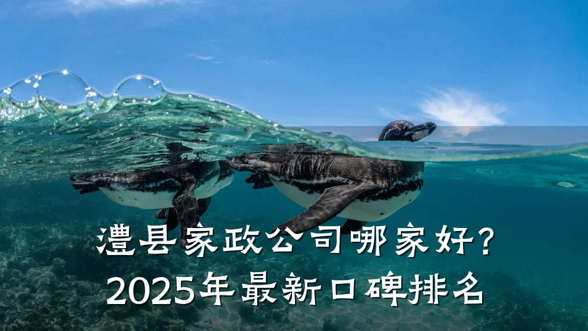 澧县家政公司哪家好?2025年最新口碑排名