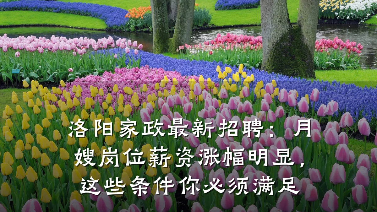 洛阳家政最新招聘:月嫂岗位薪资涨幅明显,这些条件你必须满足