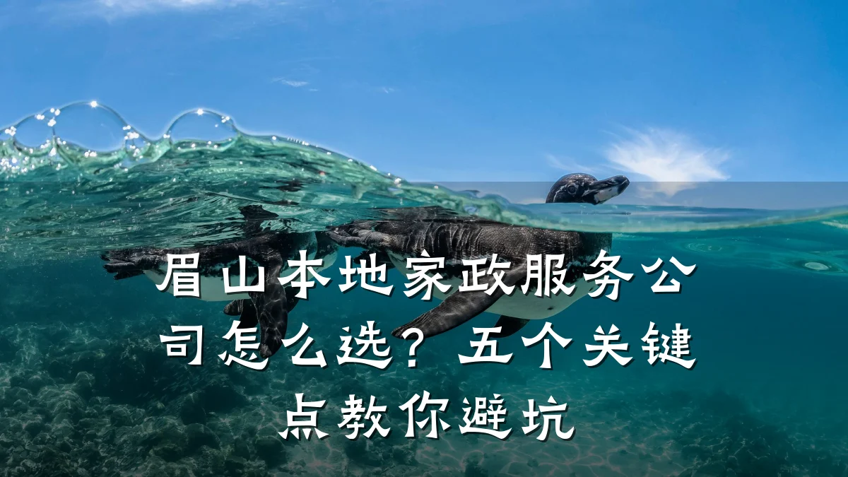 眉山本地家政服务公司怎么选？五个关键点教你避坑