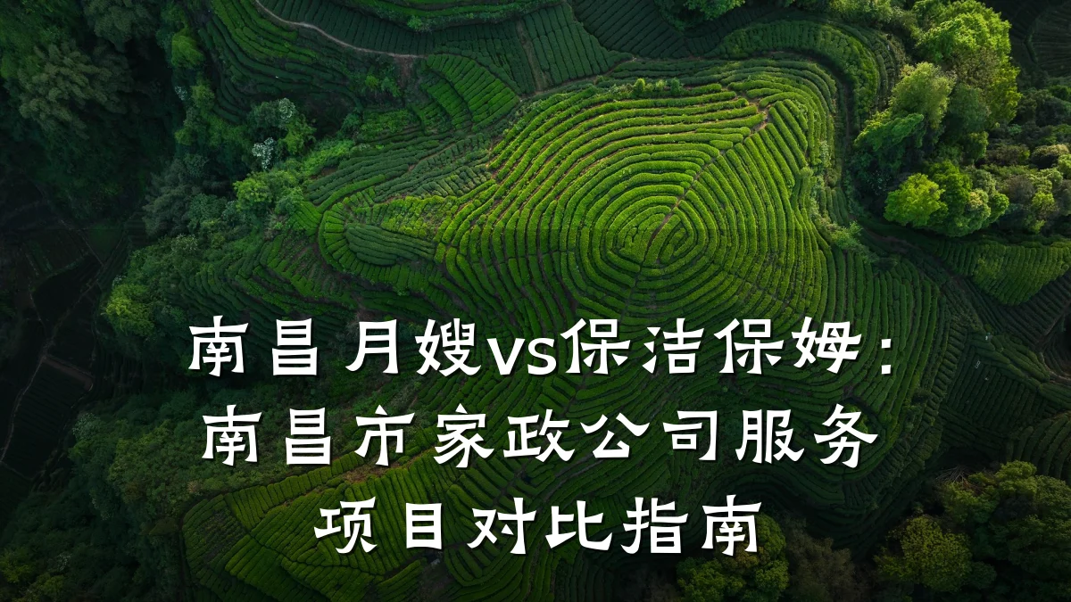 南昌月嫂vs保洁保姆:南昌市家政公司服务项目对比指南