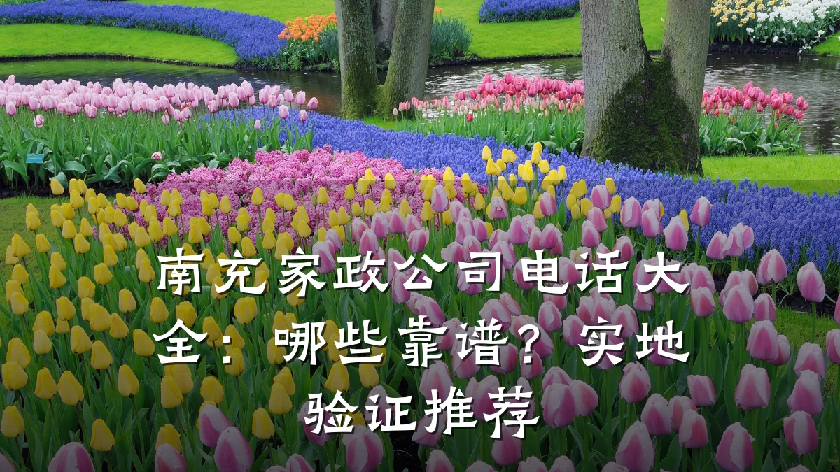 南充家政公司电话大全：哪些靠谱？实地验证推荐