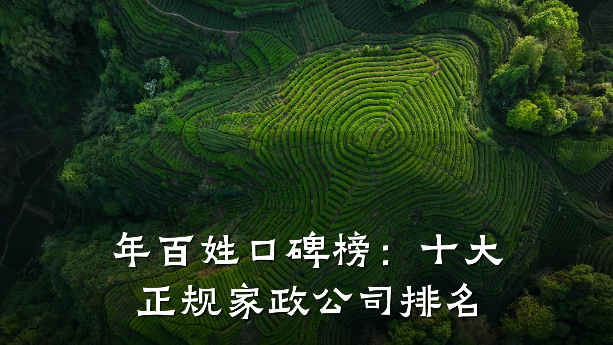 年百姓口碑榜:十大正规家政公司排名