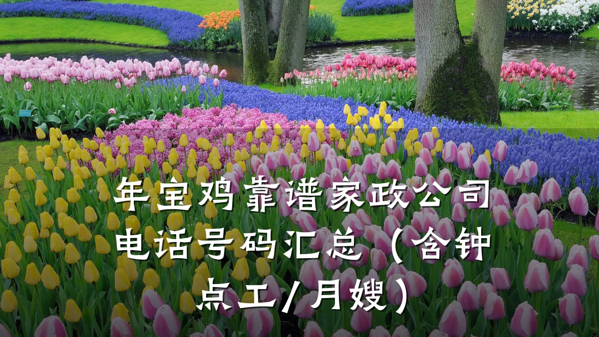 年宝鸡靠谱家政公司电话号码汇总（含钟点工/月嫂）