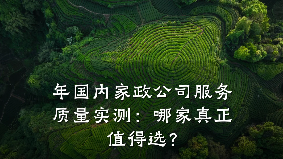 年国内家政公司服务质量实测：哪家真正值得选？