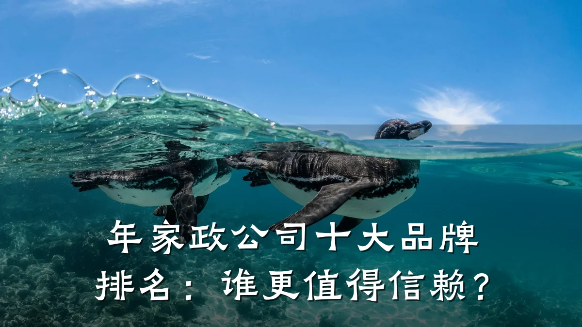 年家政公司十大品牌排名:谁更值得信赖?