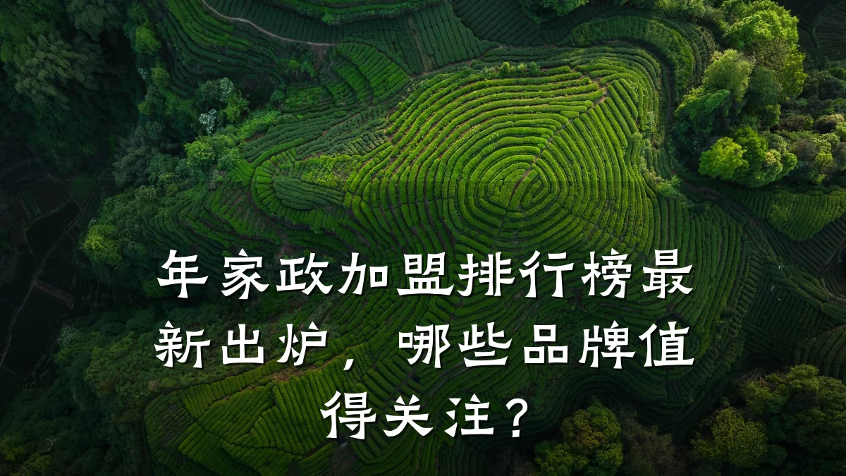 年家政加盟排行榜最新出炉,哪些品牌值得关注?
