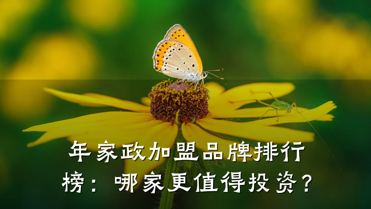 年家政加盟品牌排行榜:哪家更值得投资?