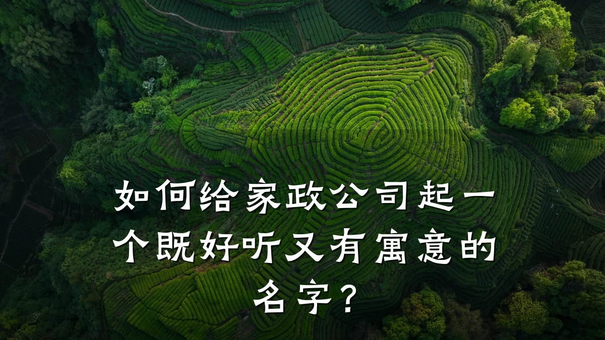 如何给家政公司起一个既好听又有寓意的名字?